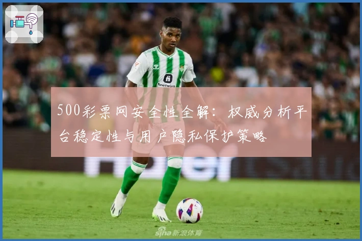500彩票网安全性全解:权威分析平台稳定性与用户隐私保护策略