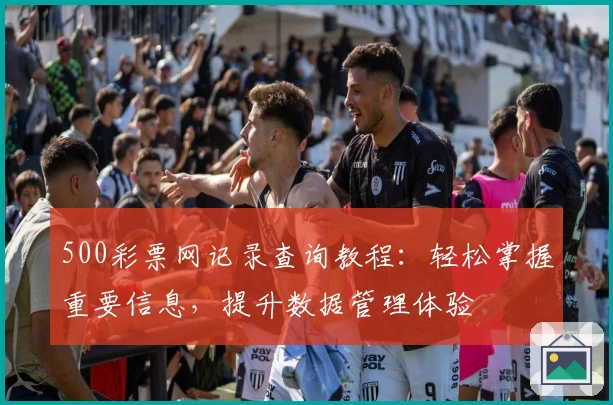 500彩票网记录查询教程：轻松掌握重要信息，提升数据管理体验